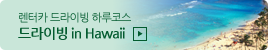 ����ī ����̺� �Ϸ��ڽ�, ����̺� in Hawaii ��ǰ �ٷΰ���